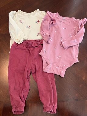 12M Girl Clothing Bundle (Mostly Carter’s)